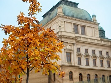 Objednejte si občerstvení ve Velkém divadle on-line